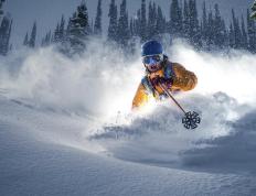 夺冠引发热议！，莎拉波娃在澳大利亚队比赛中锐不可当上演精彩一战