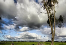 赛前速览：NBA常规赛次回合圣安东尼奥马刺对阵辽宁男篮，三大看点值得期待的简单介绍